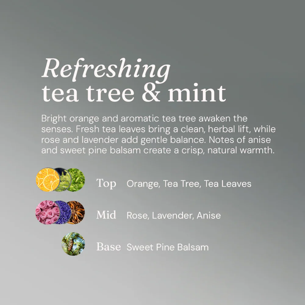 Miniml Clarifying Shampoo Refreshing Tea Tree & Mint 400ml - Image 7